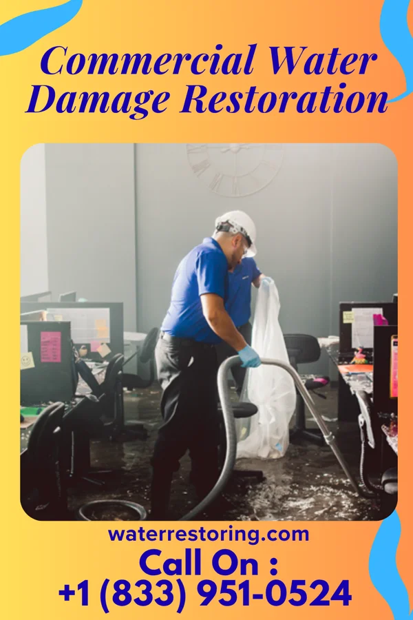 Commercial Water Damage Restoration in Hoytville, OH