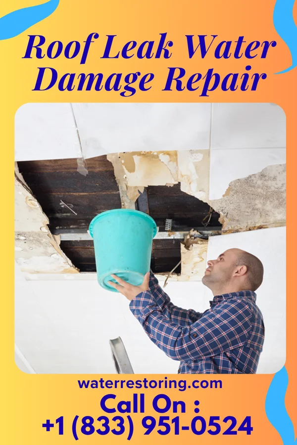 Roof Leak Water Damage Repair in Hoytville, OH