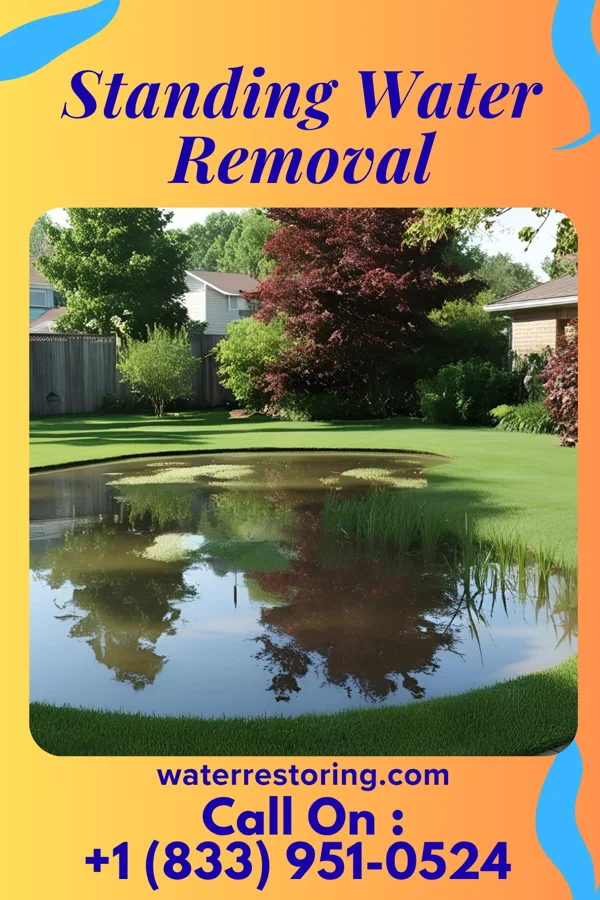 Standing Water Removal in Hoytville, OH